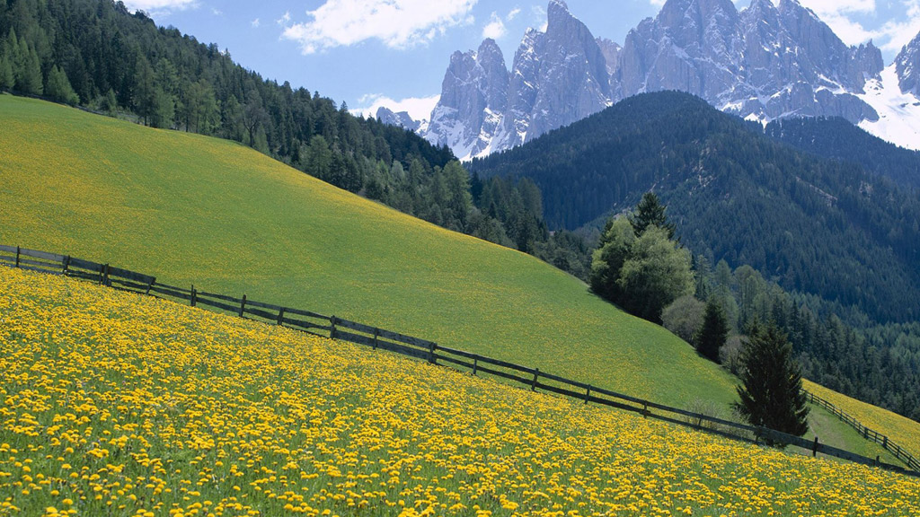 摩根士丹利：中国在人形机器人领域领先美国，资源 / 政策 / 教育方面具有优势