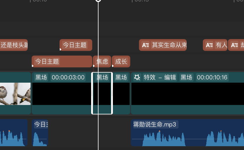 十五分钟，AI助你生成爆火情感共鸣“今日主题”视频（手把手教你玩转AI）