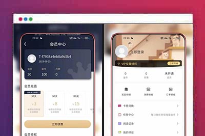 某站价值980的uniapp小说漫画APP小说源码/会员阅读/月票功能