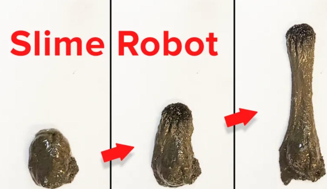 肚子不舒服,吃饭不香?嚼个机器人就好了。