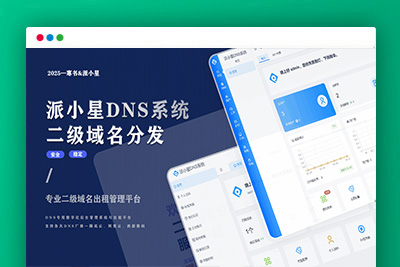 2025派小星DNS二级域名分发系统