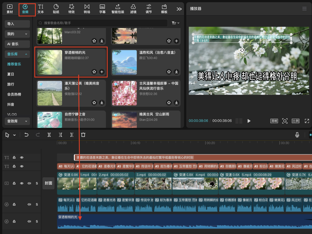 十五分钟，AI助你生成“每天认识一种花植物科谱”视频（手把手教你玩转AI）