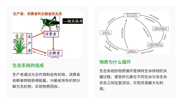 AI 搜索进化了！秘塔新功能让教学从 “找资料” 变 “出成果”