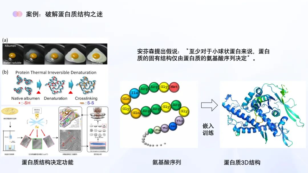 AI教育必学!谢作如:中小学如何实施人工智能教育