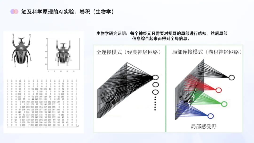 AI教育必学!谢作如:中小学如何实施人工智能教育