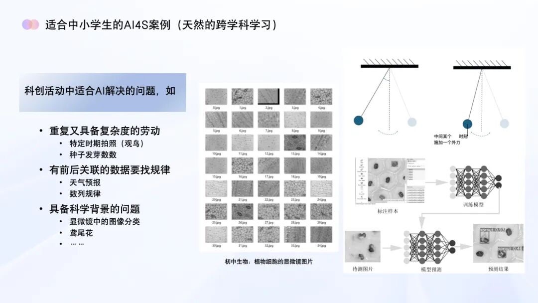 AI教育必学!谢作如:中小学如何实施人工智能教育