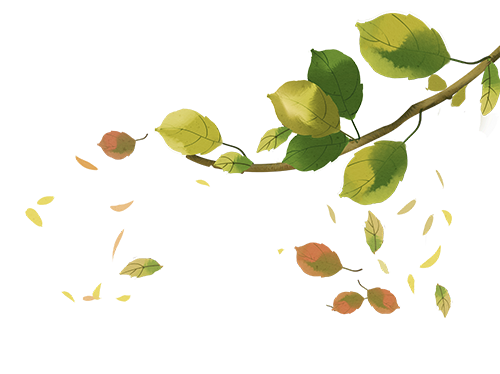 AI赋能,教学设计优秀案例精选