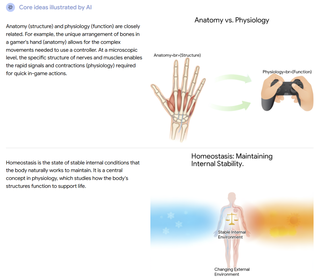 谷歌推出“Learn Your Way”,用AI重新定义教科书