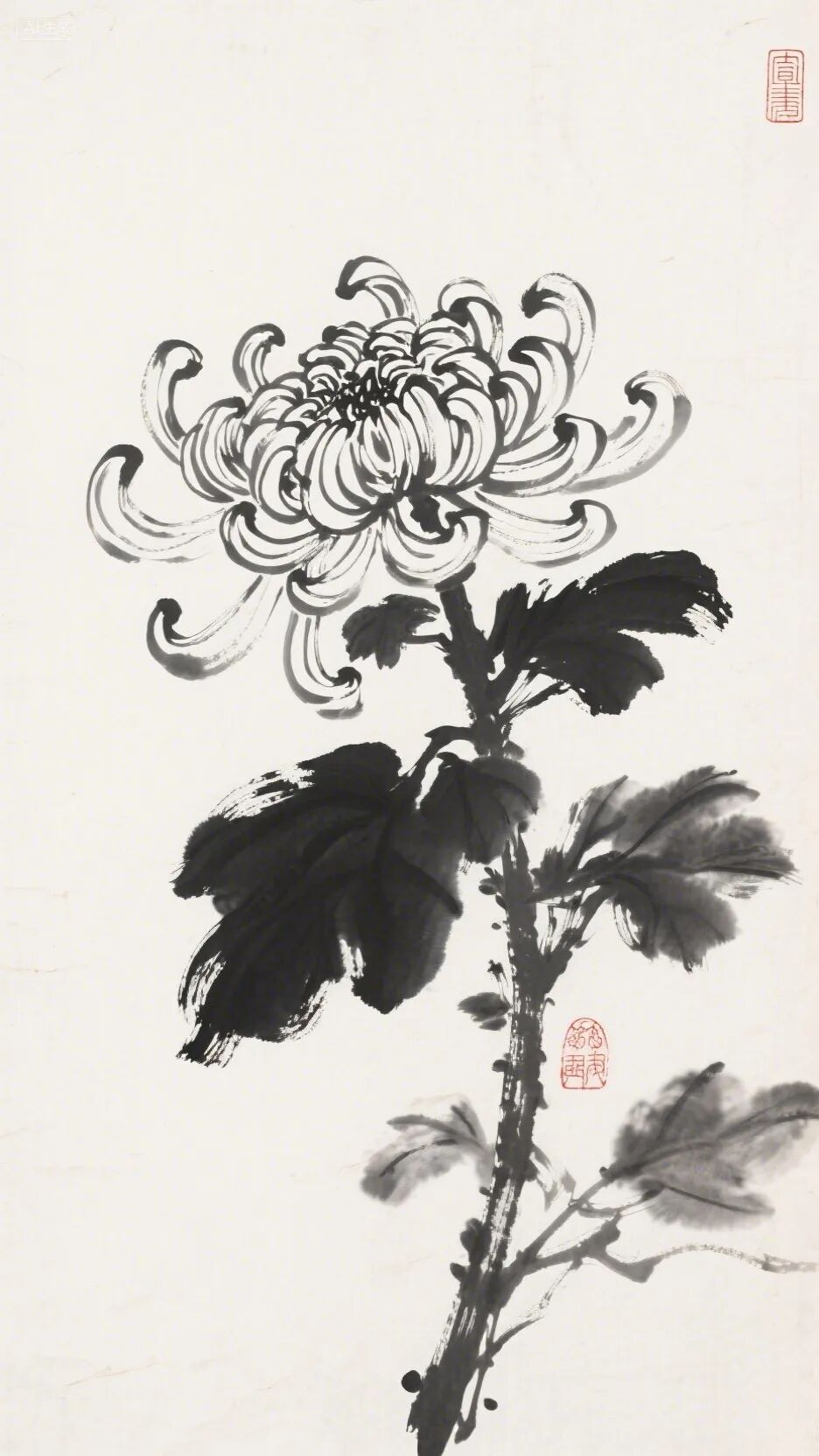 即梦AI画图教程:(一百二十八)菊花绘画创作指南