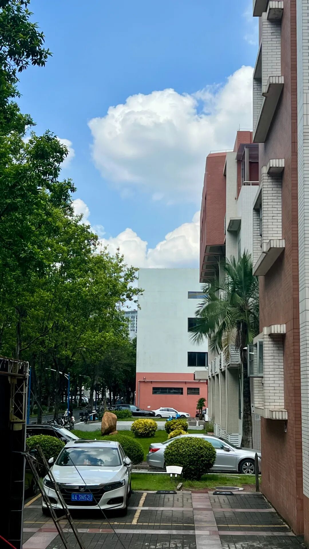 39%和59%，这对高等职业教育意味着什么？