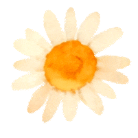 牛津、清华、复旦、华五，头部大学闻风而动，用AI重塑高等教育范式，人工智能时代的大学变革大潮涌动