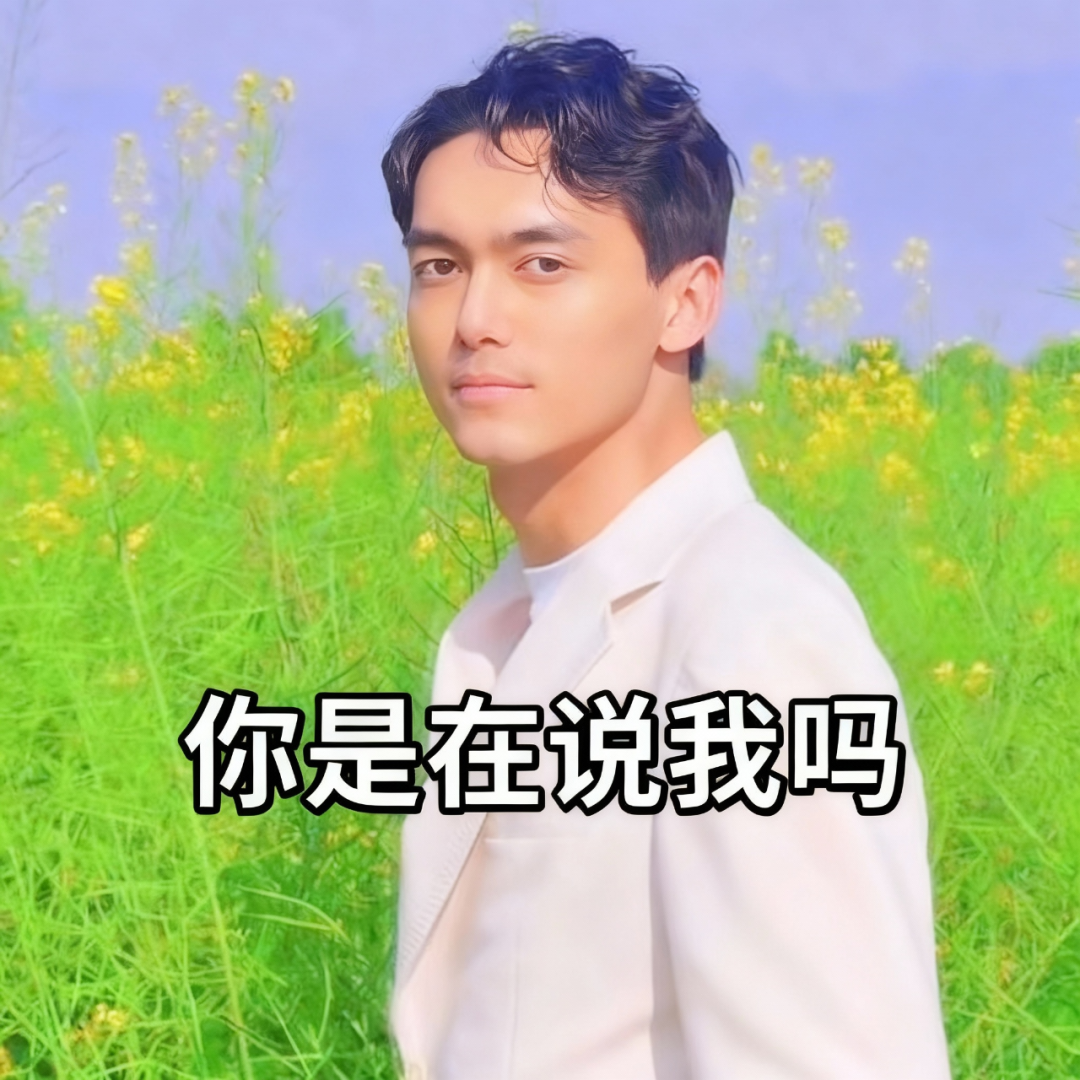 终于有个视频Agent能做三人同屏对口型了,这次商汤Seko上大分