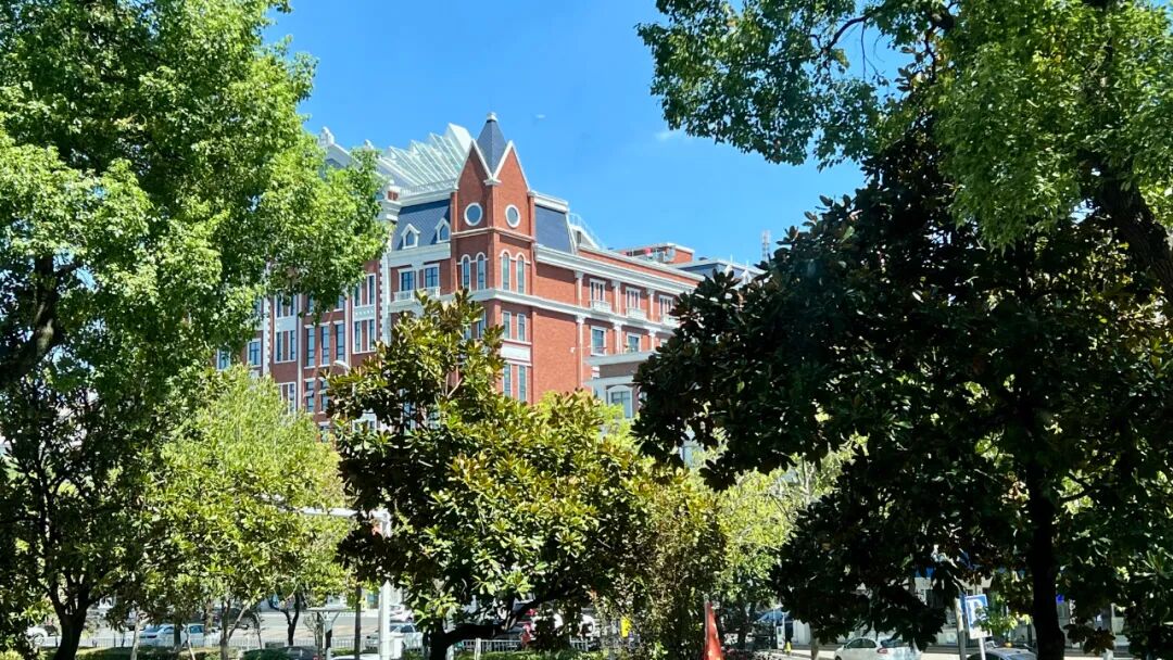 参与式教师培训,在参与中获得专业知识、专业能力以及情感、态度和价值观的提升