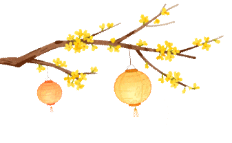 阿尔法学校到底是怎么用人工智能让学生2小时学得快2倍的？这位家长的描述可以帮我们管窥其奥秘