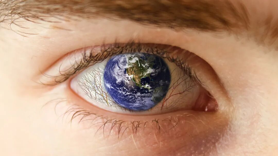 AI Future Ready School:将人工智能(AI)融入学校教育理念、课程教学、学校运营和师生发展的各个层面的框架