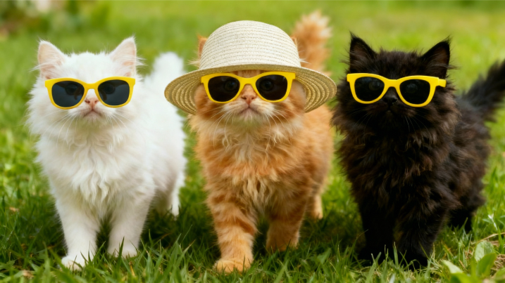 最强一键成短剧平台，毫无PPT感，超高度定制！