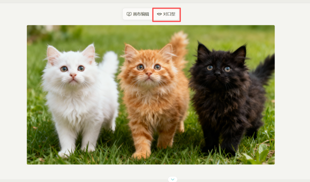 最强一键成短剧平台，毫无PPT感，超高度定制！