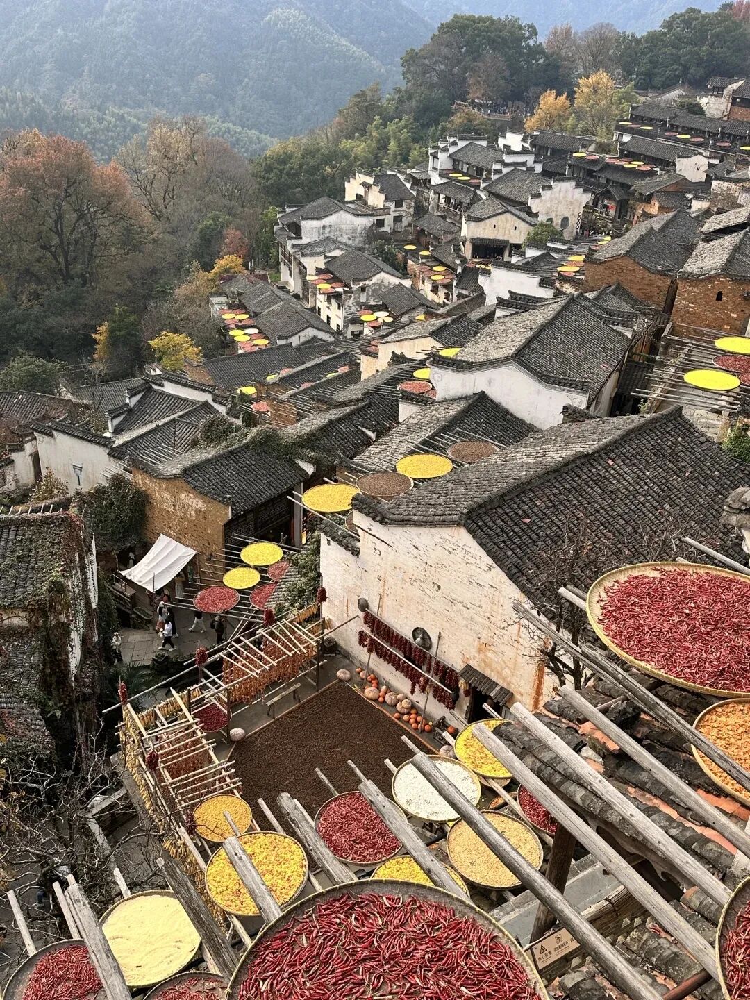 GLM-4.6V发布即开源,国产最强多模态Agent底座模型