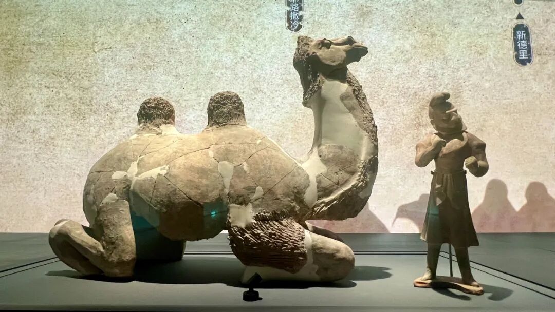 关于人工智能和教育,这位自称“心不在焉”的教授想到的十件事,实际上是十条教育洞见