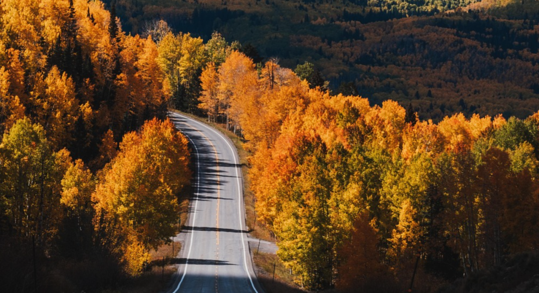 人工智能大潮涌动，中小学如何避免踩入过去几十年教育信息化发展的哪些坑？